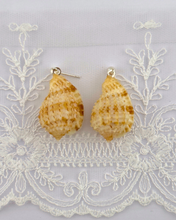 Load image into Gallery viewer, Listen to the Sea Earrings
